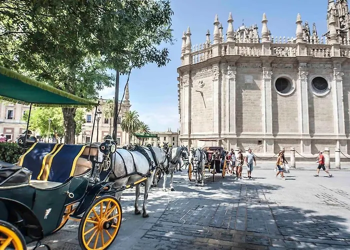 Jimios City Center By Valcambre